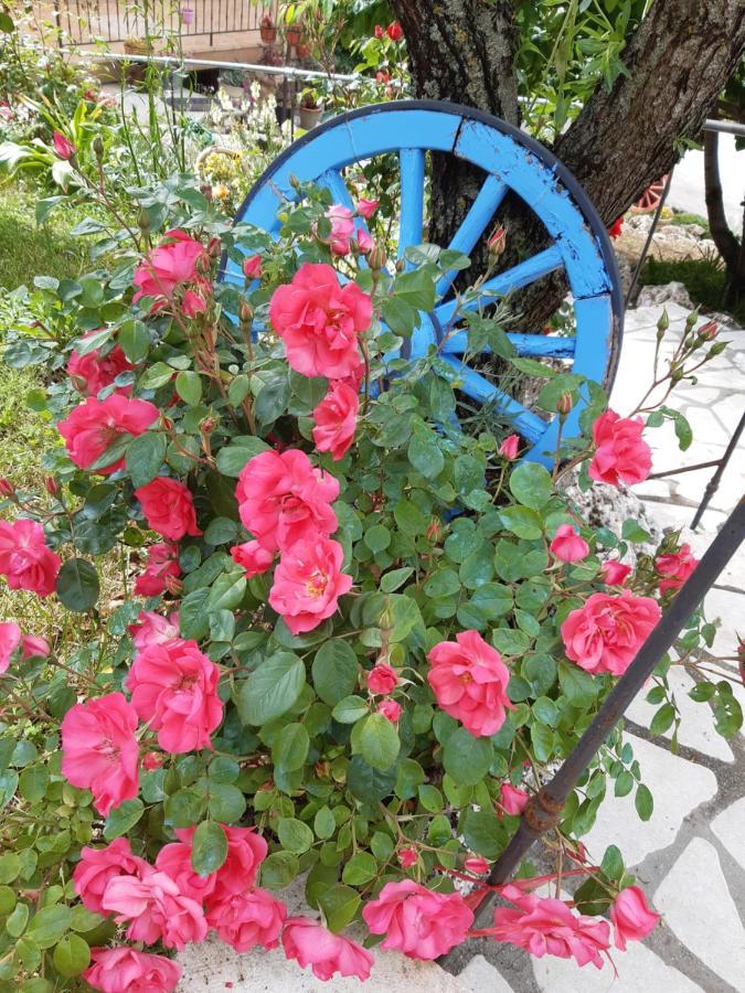 Bed and Breakfast Il Girasole Castelvecchio Calvisio Екстер'єр фото