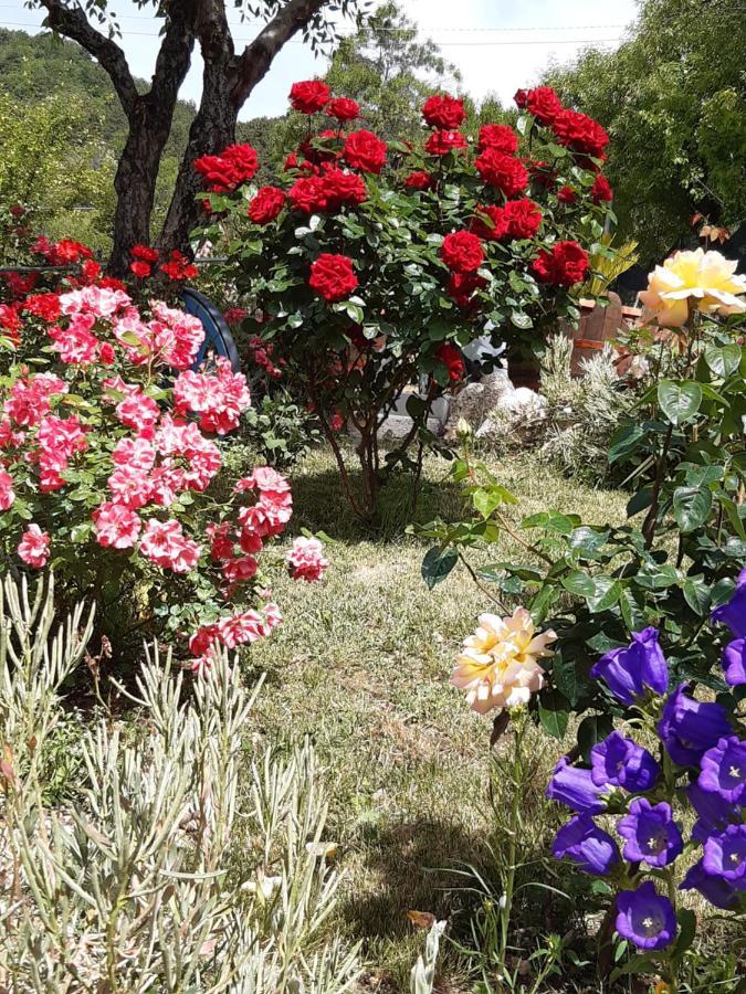 Bed and Breakfast Il Girasole Castelvecchio Calvisio Екстер'єр фото