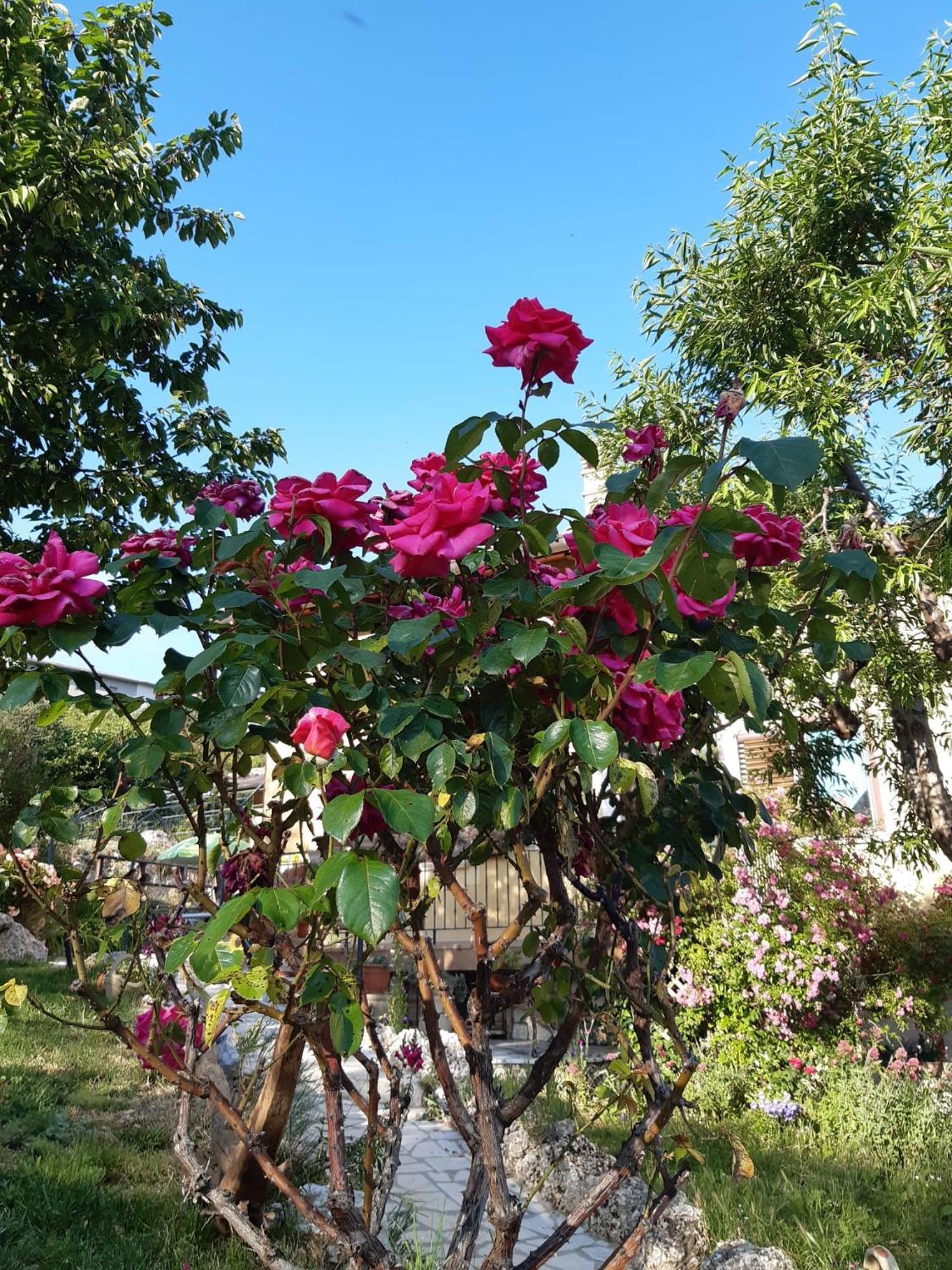 Bed and Breakfast Il Girasole Castelvecchio Calvisio Екстер'єр фото