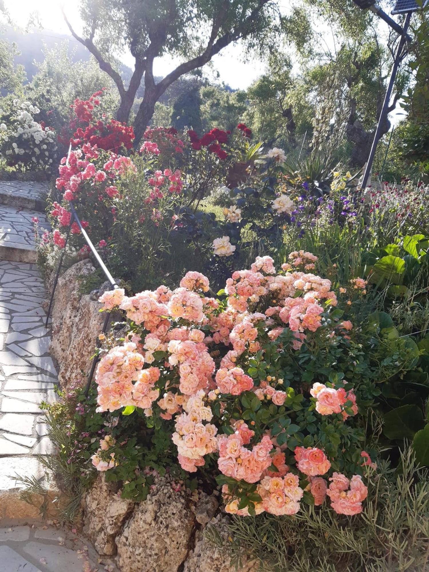 Bed and Breakfast Il Girasole Castelvecchio Calvisio Екстер'єр фото